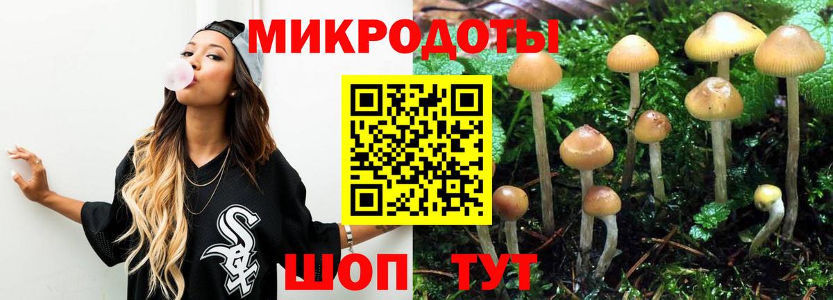 Кирово-Чепецк  Галлюциногенные грибы MAGIC MUSHROOMS  Вход с VPN 
